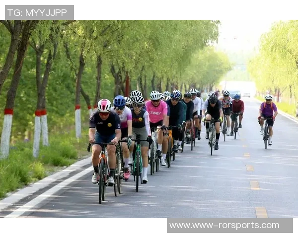 深度对话吴磊探讨排球人生的成长与挑战之路