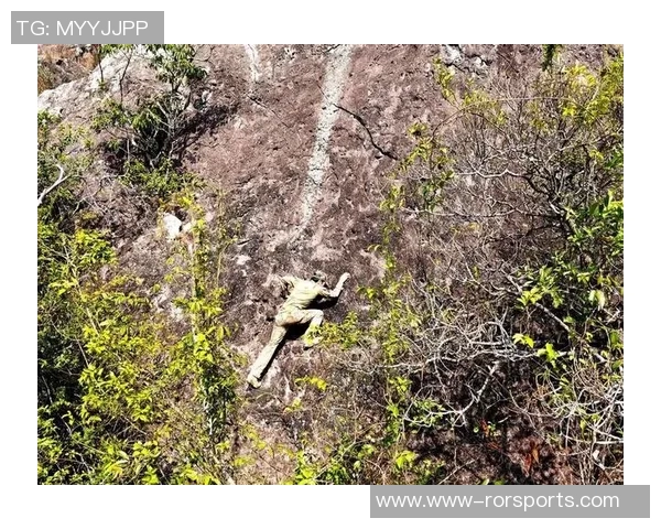 深入分析成都攀岩队区域防守战术及其在比赛中的应用与效果