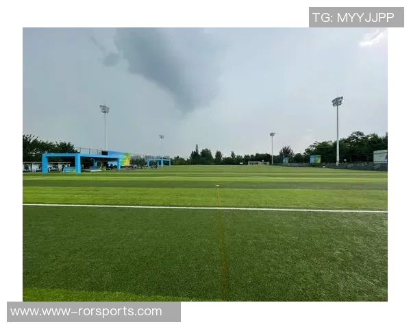 西安飞盘队的盯防革新探索与战术创新全景分析实时数据